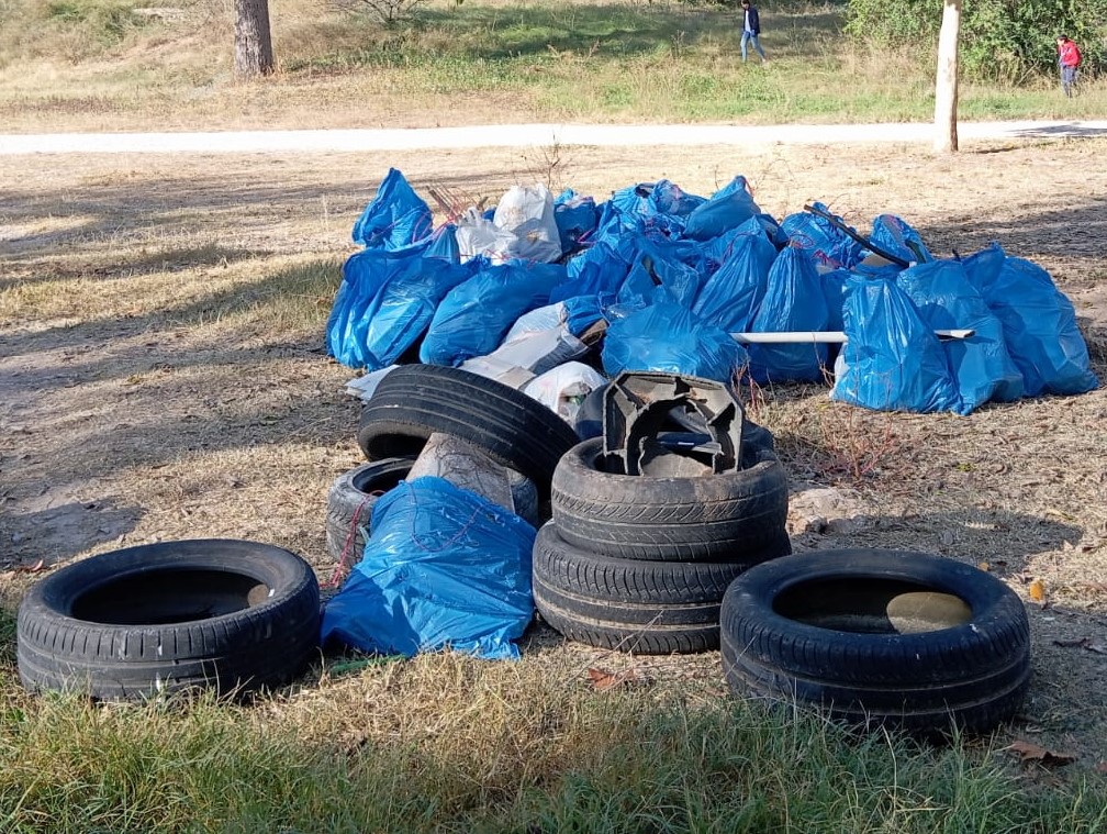 Residuos encontrados en la jornada de limpieza organizada por Ecologistes en Acció en la presa de Manises